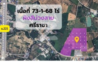 ขายที่ดิน ผังสีม่วงลาย เนื้อที่ 73-1-68 ไร่ ไร่ละ 3.5 ล้าน พิกัดเขาคันทรง ศรีราชา ชลบุรี : โดยนายหน้า/ตัวแทน 