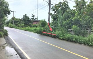 ทรัพย์ธนาคารโดย KASIKORNBANK ที่ดิน ถนนบ้านกู่สูง - บ้านสันมะกอก