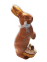 20220308 161900