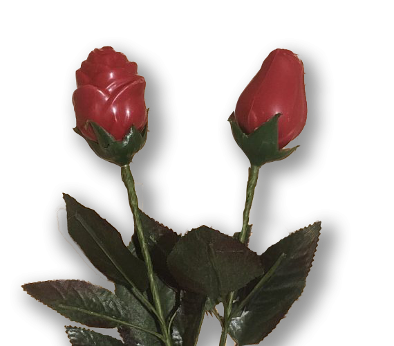 Valentijnsroosjes
