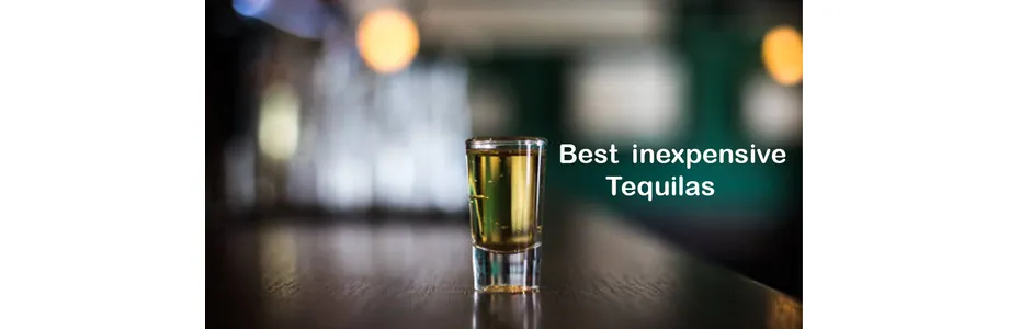 Best Budget Friendly Tequila Brands   Best Cheap Tequilas You Should Try.webp