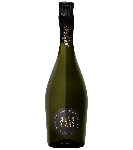  Stelleinrust Chenin Blanc Brut product image from Drinks Zone