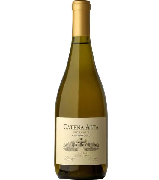 Catena alta chardonnay product image from Drinks Zone