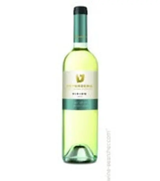 Teperberg Vision Dry White product image from Drinks Zone
