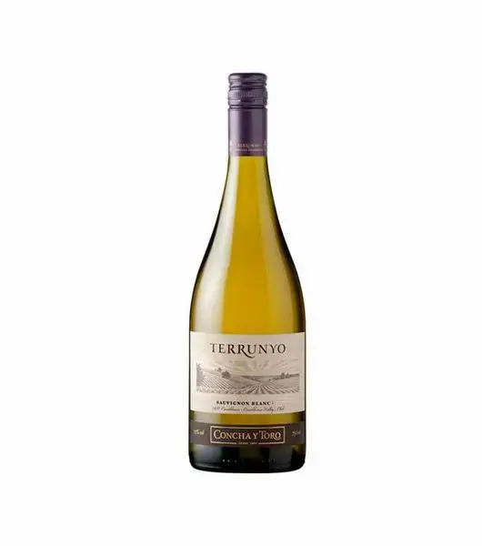 Terrunyo Sauvignon Blanc product image from Drinks Zone