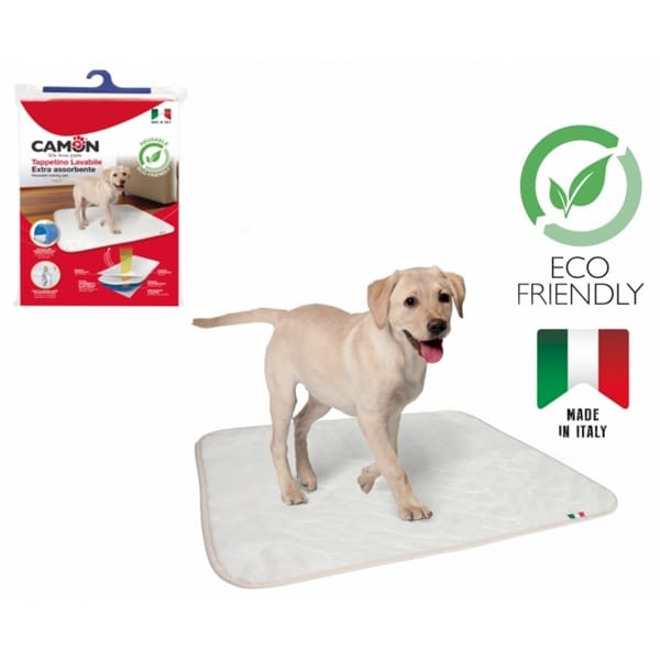 current product image
