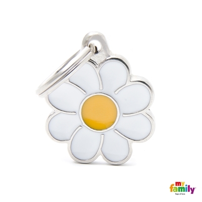 current product image