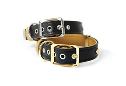 current product image