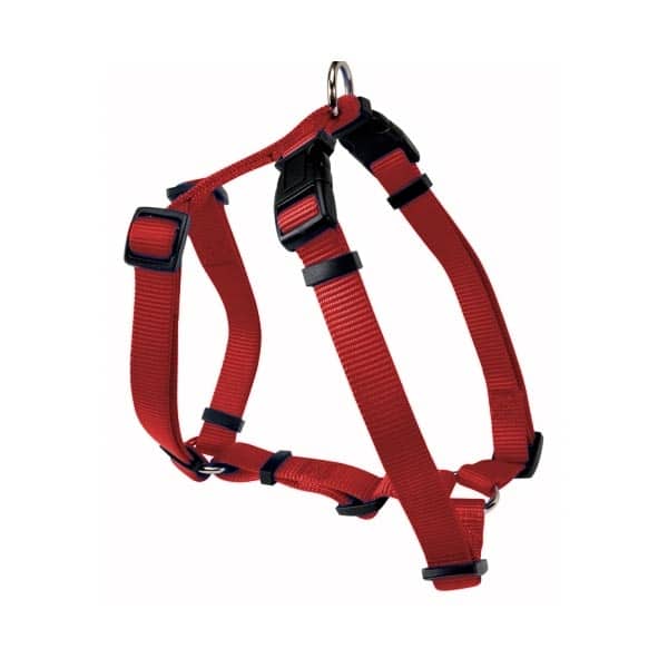 current product image