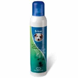 current product image