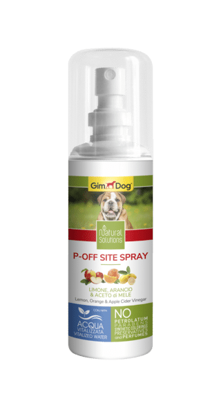 current product image