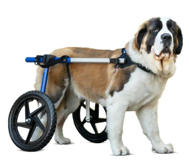 WALKIN'WHEELS WHEELCHAIR LARGE 14-16''