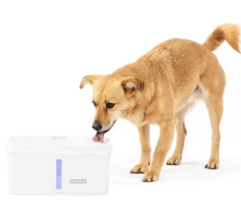 DRINKWELL PETSAFE 4.1L VIVA PET FOUNTAIN