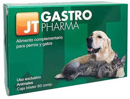 JT-GASTRO PHARMA 60 TABS
