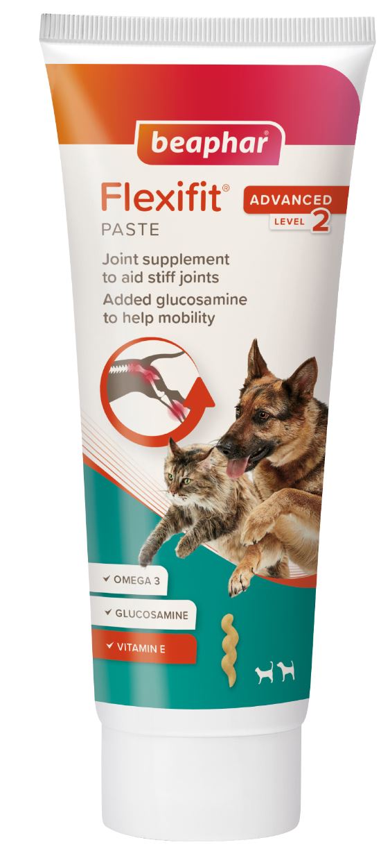 BEA FLEXIFIT PASTE DOG/CAT 250G