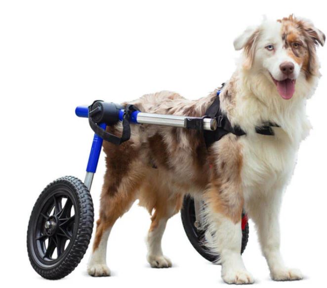 WALKIN'WHEELS MED/LRG WHEELCHAIR 14-16''
