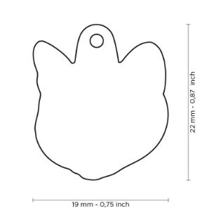 MF36NWHITE -WHITE EUROPEAN SHORTHAIR *NE