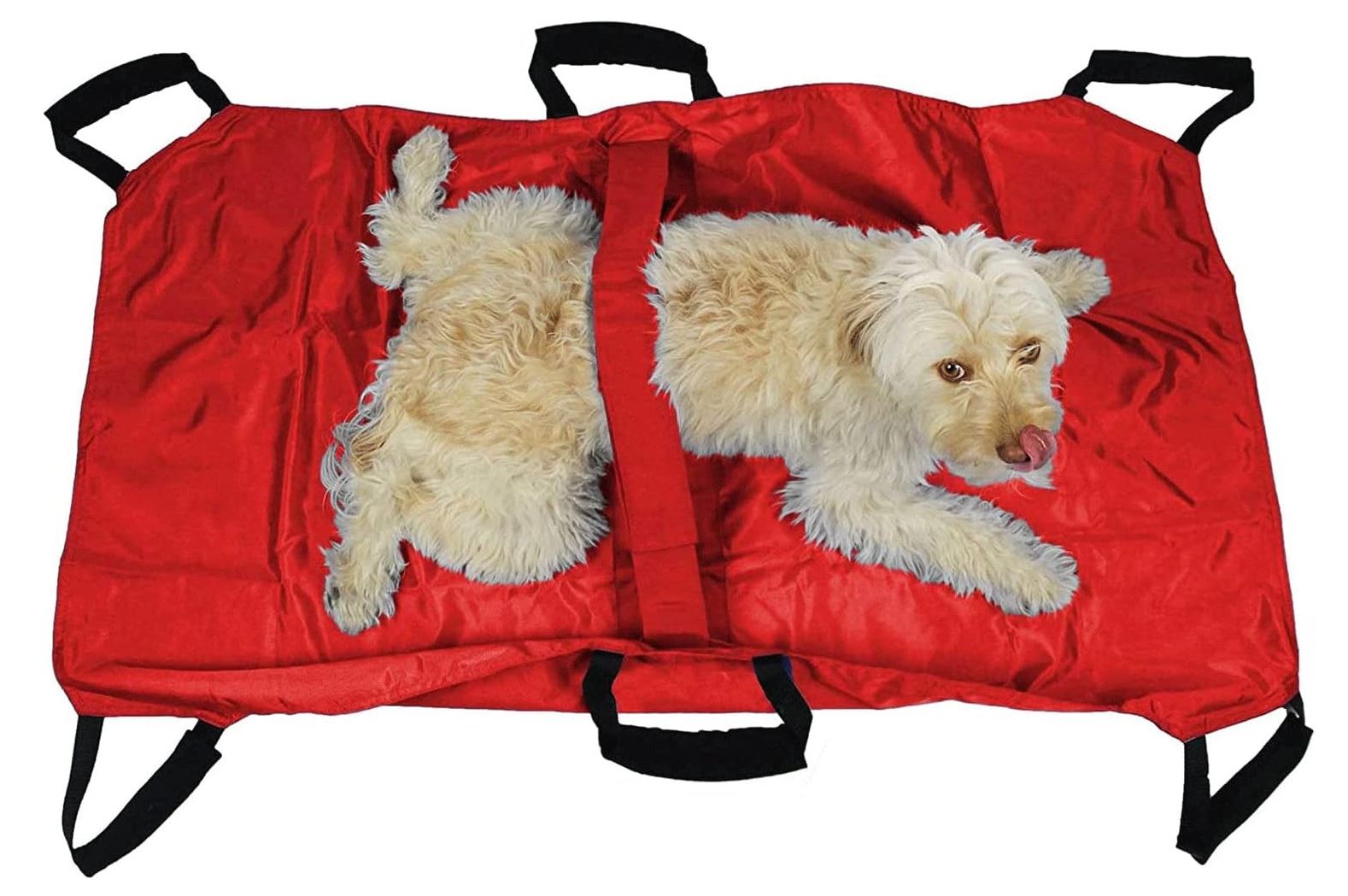 PET TRANSPORT STRETCHER RED