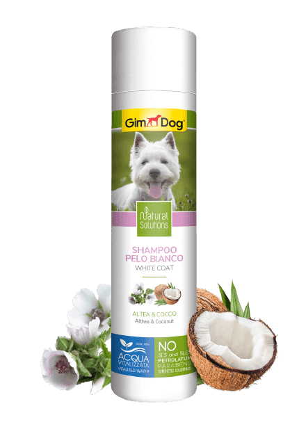 current product image