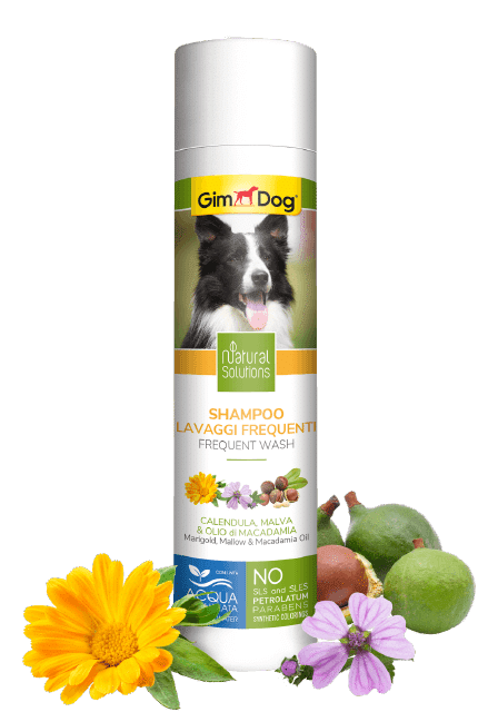 current product image