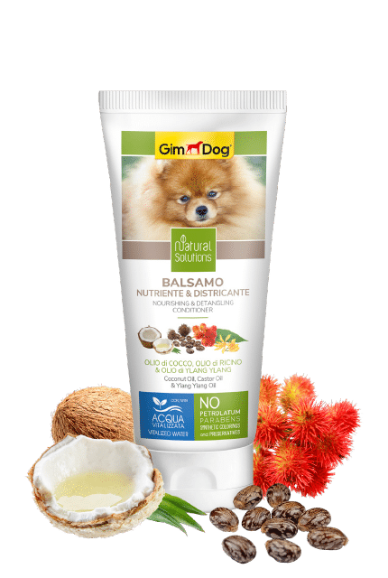 current product image