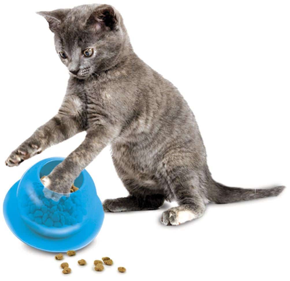 FUN-FB-19 CAT FISHBOWL