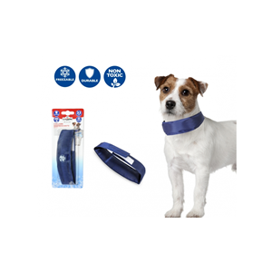 current product image