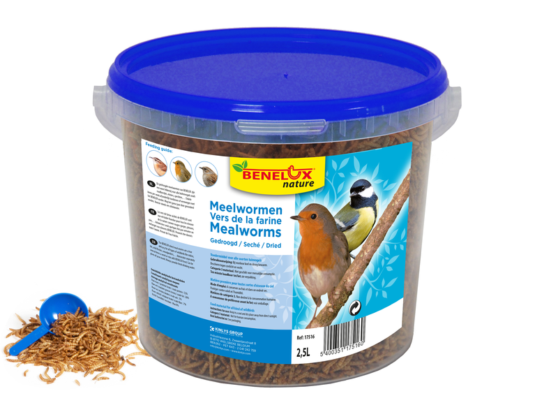 17516 BENELUX MEALWORM BUCKET 2.5L