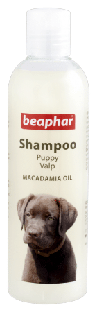 current product image