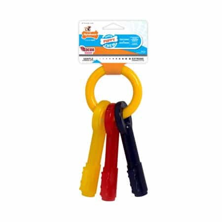 NYLABONE PUPPY TEETHING KEYS MEDIUM