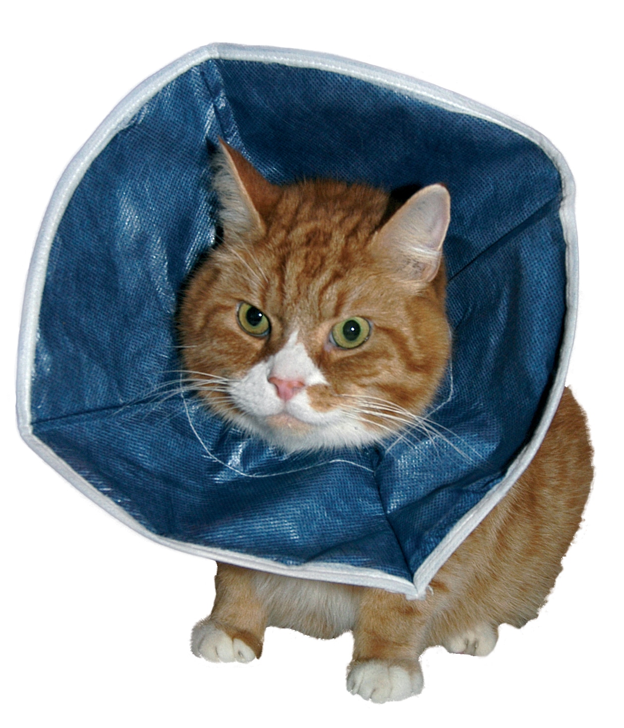 current product image