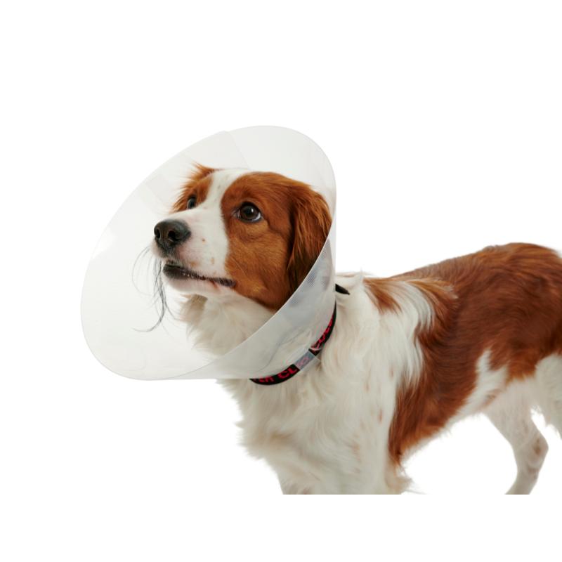 BUSTER CLASSIC COLLAR 25CM