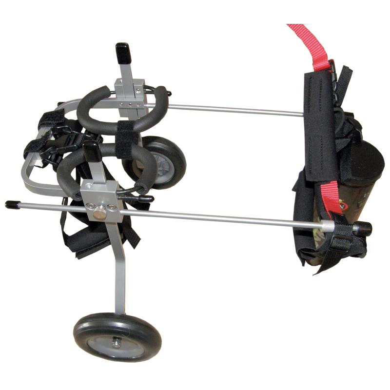 current product image