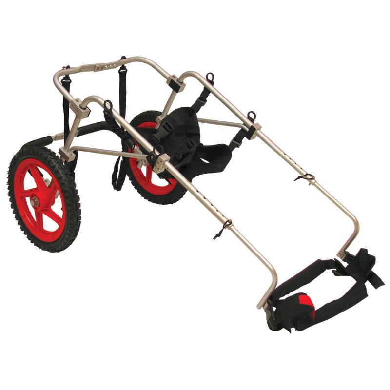 current product image