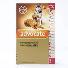 ADVOCATE DOG LARGE 10-25KG 1 TUBE
