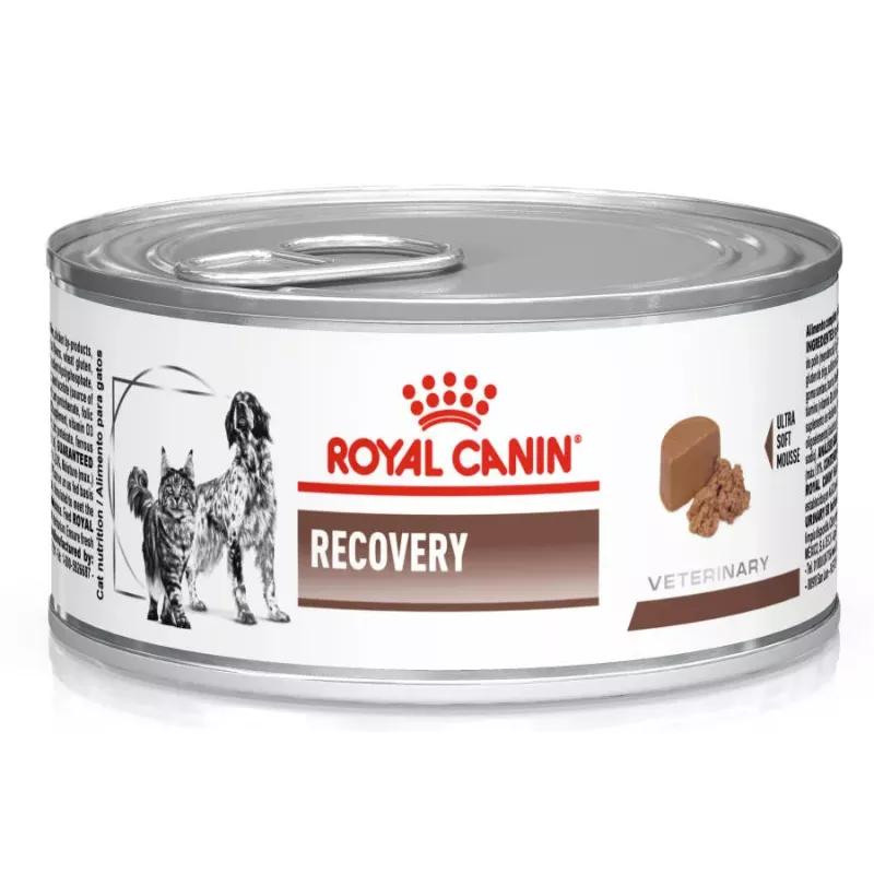 Royal Canin Renal umido mousse per cani - Veterinary Diet