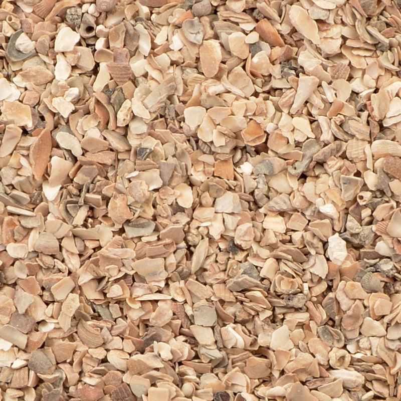 current product image