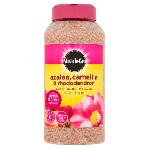 MIRACLE-GRO AZALEA ,CAMELLIA & RHODODENDRON CONTINUOUS RELEASE PLANT FOOD