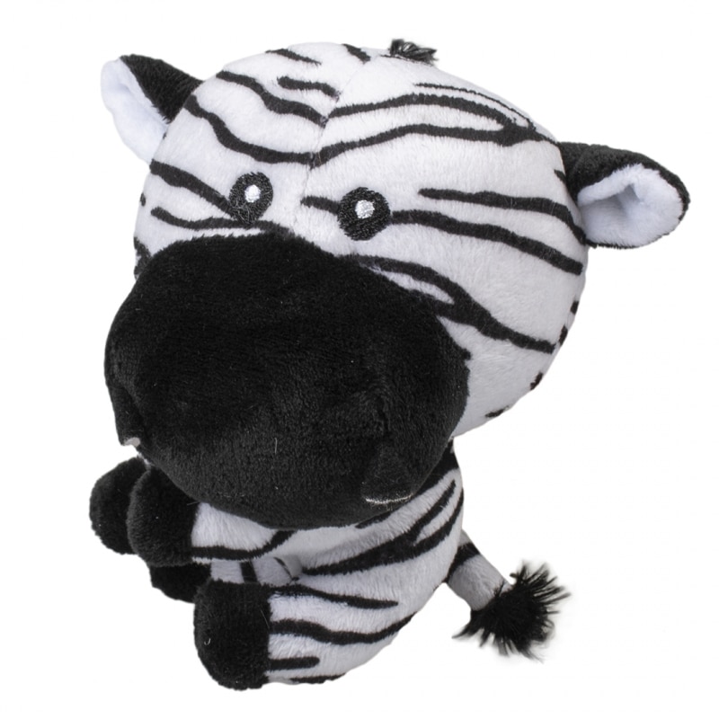 current product image