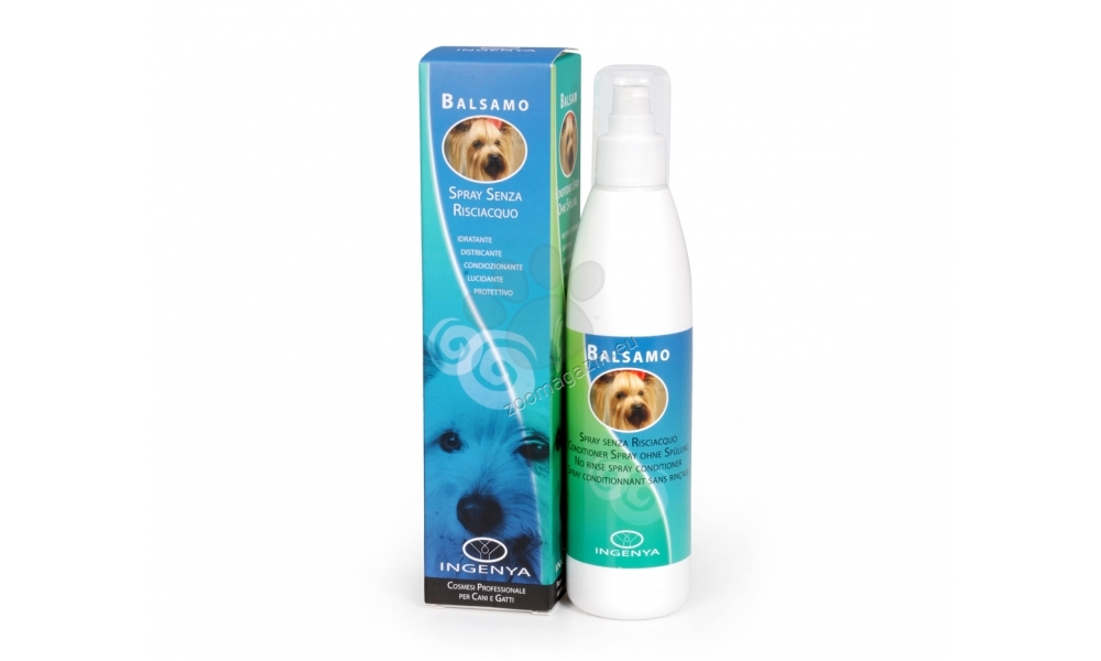 IC029 NO RINSE SPRAY CONDITIONER 250ML