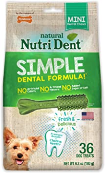 NYLABONE NUTRI DENT MINI POUCH