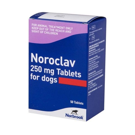 NOROCLAV 250MG 50 TABS