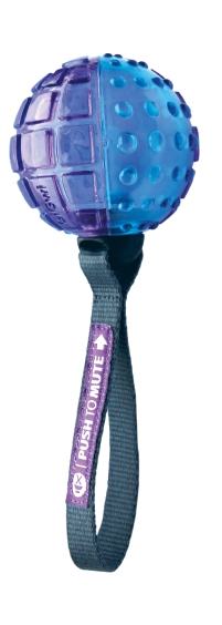 current product image