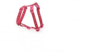 current product image