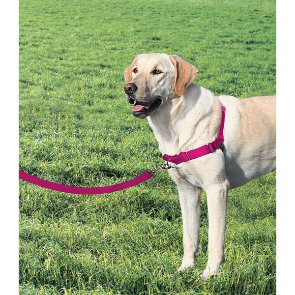 current product image