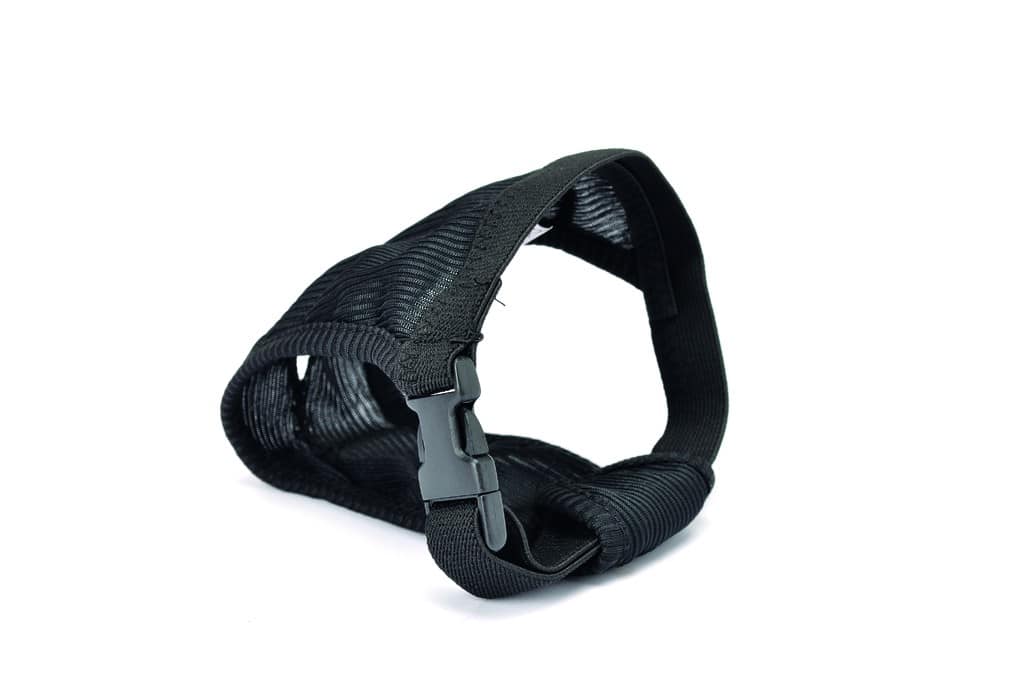 current product image