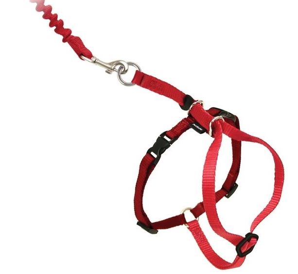 EASYWALK CAT HARNESS SMALL RED