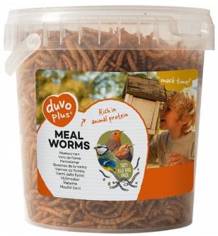 DUVO+ MEAL WORMS 200G