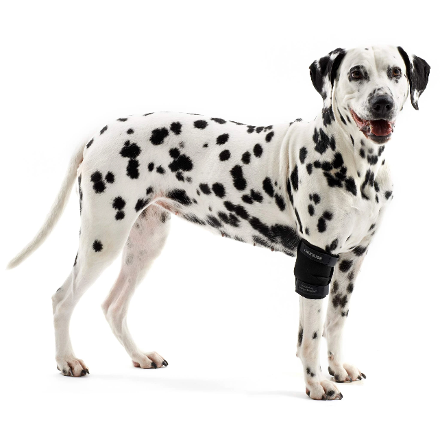 current product image