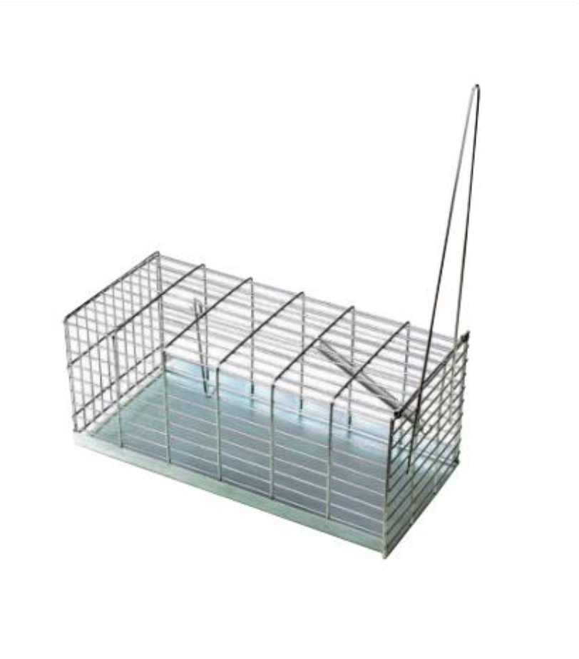 0031A RAT TRAPS CAGE MEDIUM